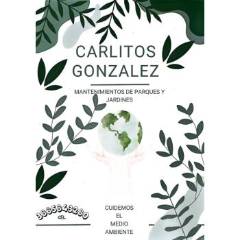 Carlitos Gonzalez