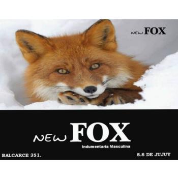 New Fox